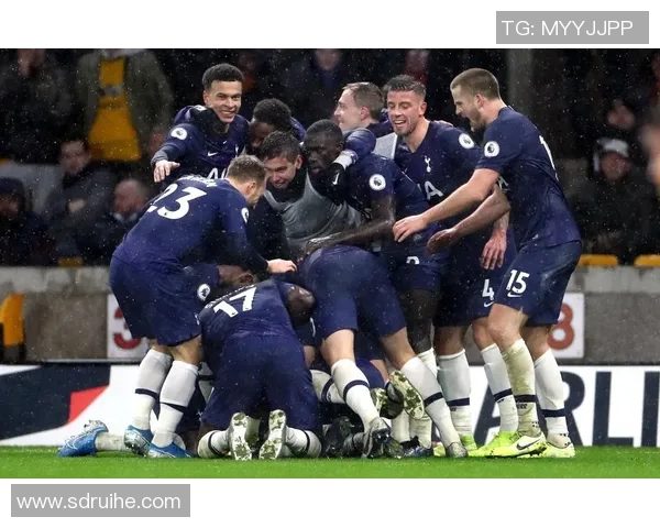 2019年2月埃弗顿主场迎战狼队精彩对决回顾与分析