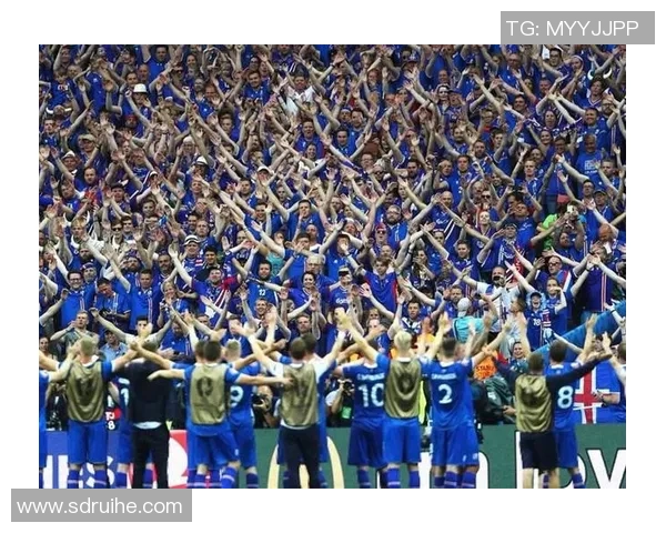 维京队与苏拉队的精彩对决足彩分析与预测全解析