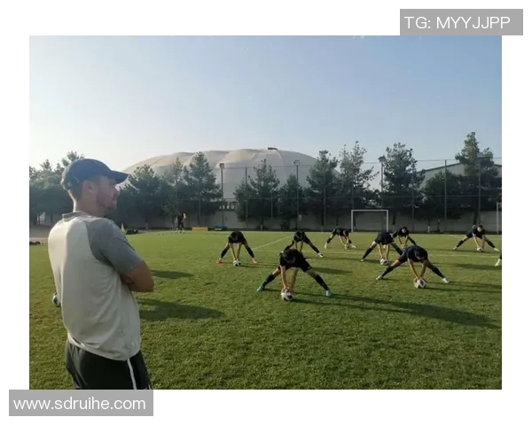 意大利与德国激战正酣12xian赛场上演足球巅峰对决引发球迷热议