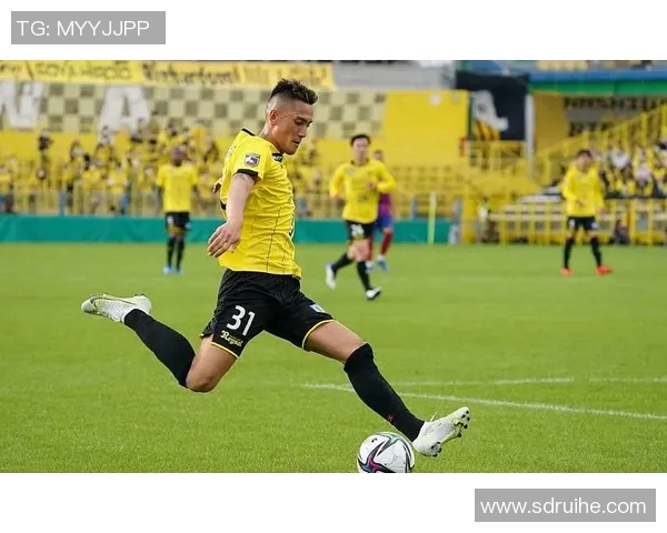 柏大阳神迎战天津队全力争胜展现球队实力与斗志 柏大阳神迎战天津队全力争胜展现球队实力与斗志