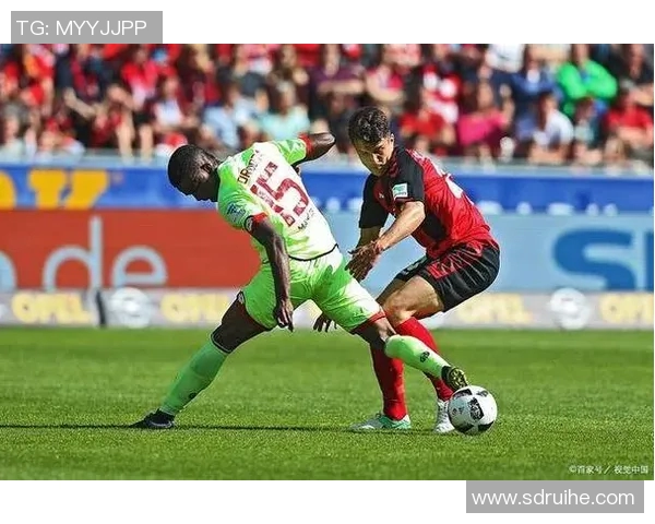 根特与贝尔格莱德红星比赛前瞻分析及胜负预测详解