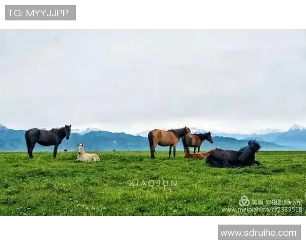 沥木与群马温泉的奇妙对话探寻自然与人文的完美融合