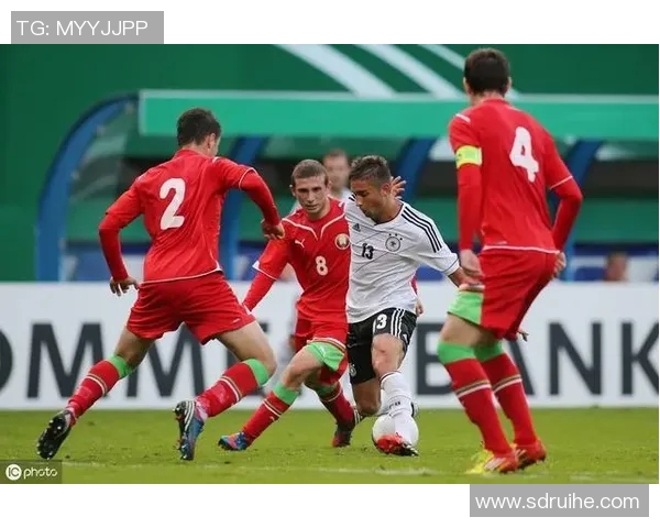 白俄罗斯与荷兰足球最新对战数据分析及预测