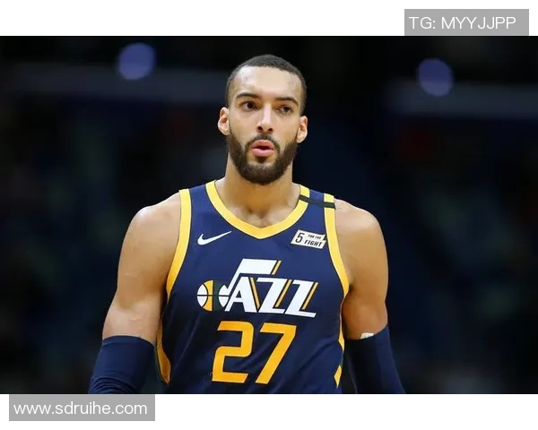 鲁迪戈贝尔的篮球传奇之路与未来发展展望