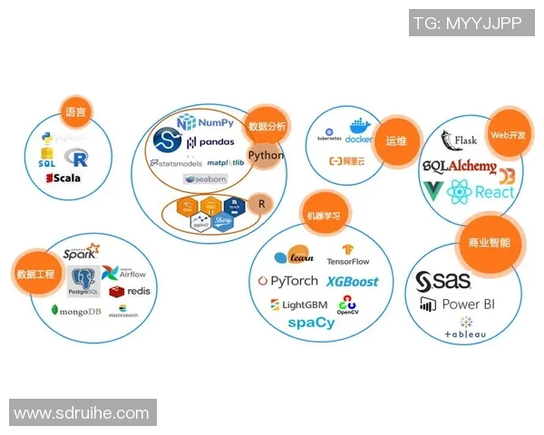 深圳攀岩队个人能力表现数据分析与提升策略探讨