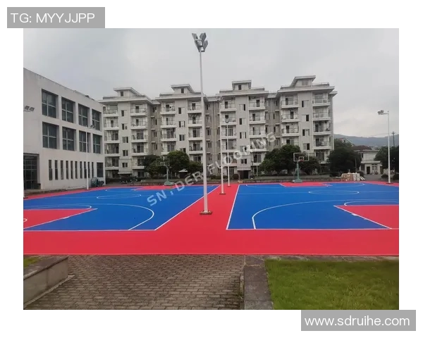 扶绥篮球明星的成长之路与未来发展展望探讨