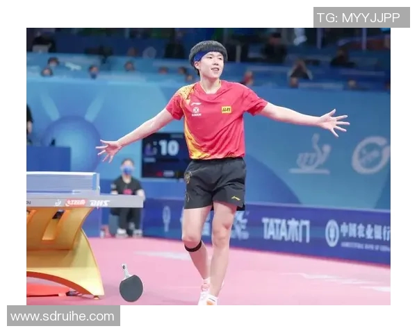 乒乓球盛宴揭秘西安乒乓球队的实力与荣耀之路