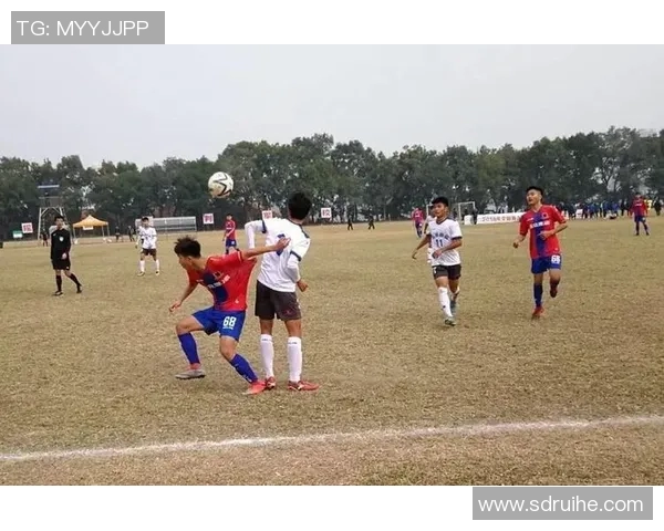 北京篮球队边路渗透战术解析与深度剖析探讨